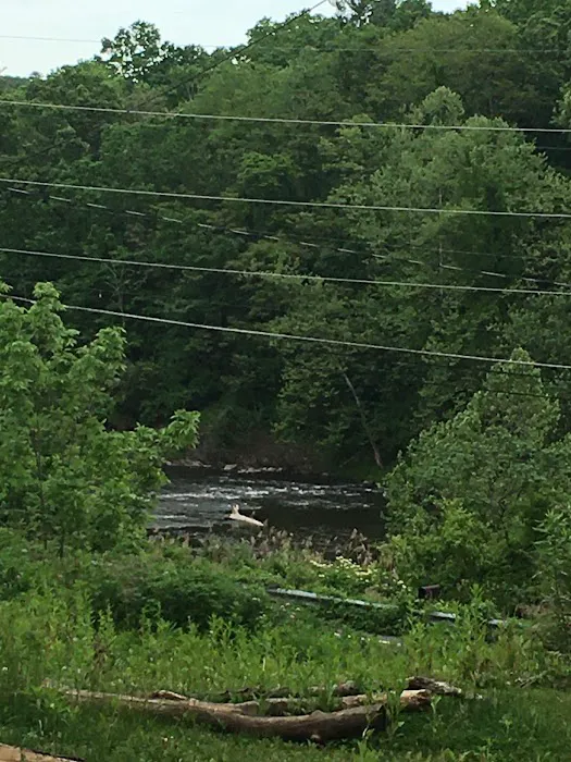 CreekView Campsites Picture 2