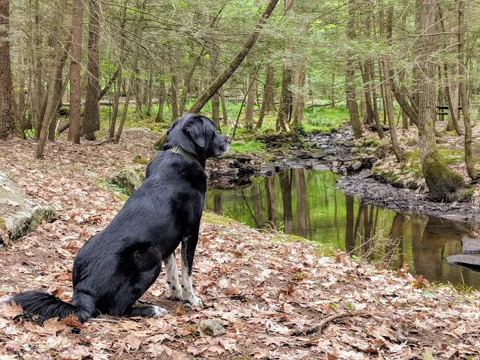 SoHi Campground Picture 7