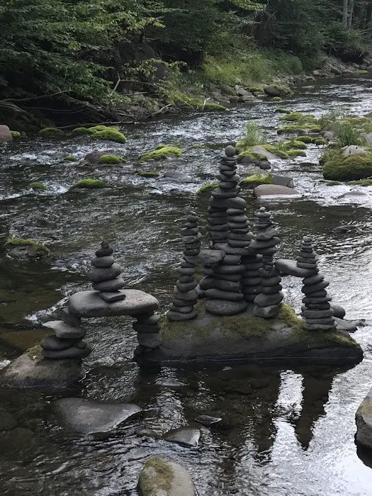 Sundown Wild Forest Peekamoose Campground Parking Picture 1
