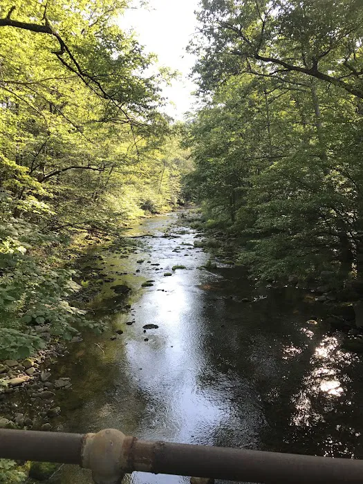 Sundown Wild Forest Peekamoose Campground Parking Picture 8