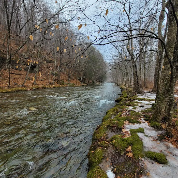 Sundown Wild Forest Peekamoose Campground Parking Picture 9