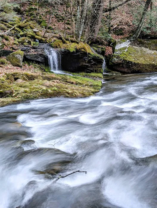 Sundown Wild Forest Peekamoose Campground Parking Picture 3