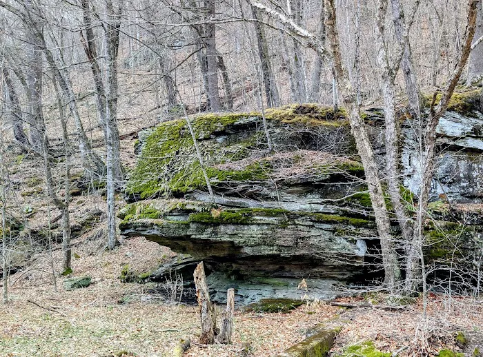 Sundown Wild Forest Peekamoose Campground Parking Picture 7