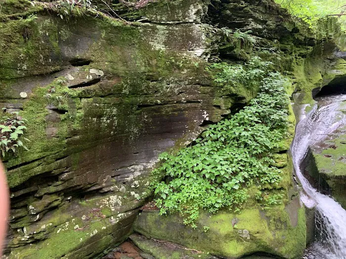 Sundown Wild Forest Peekamoose Campground Parking Picture 5