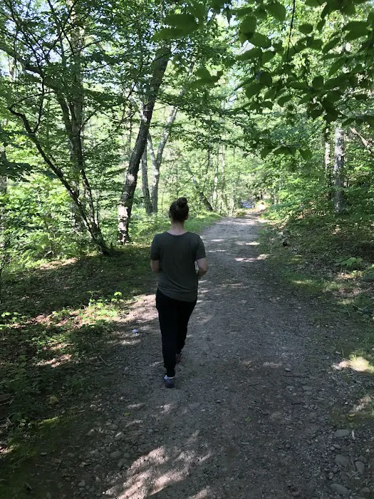 Sundown Wild Forest Peekamoose Campground Parking Picture 2