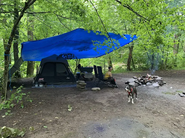 Sundown Wild Forest Peekamoose Campground Parking Picture 4