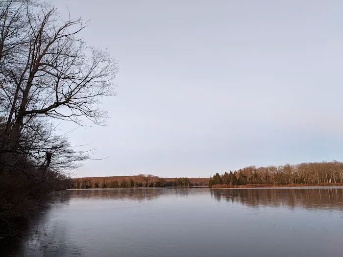 Pickerel Point Campground Picture 1