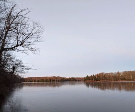 Pickerel Point Campground