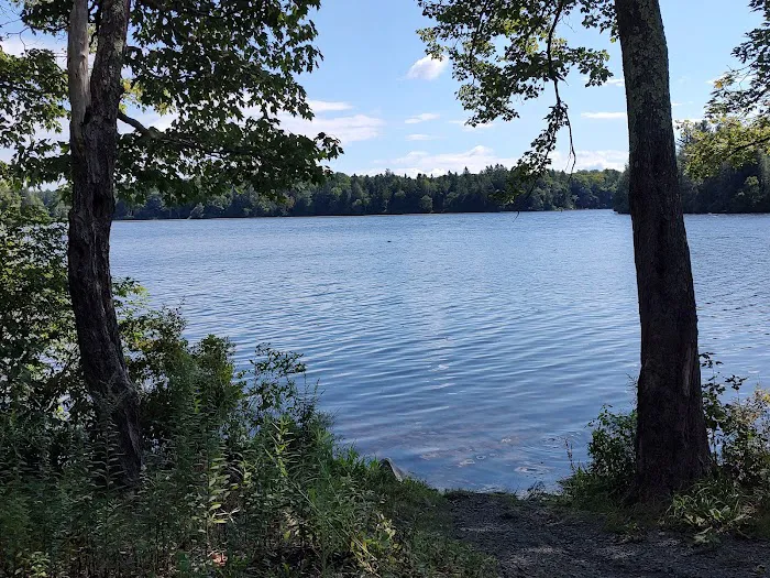 Pickerel Point Campground Picture 7