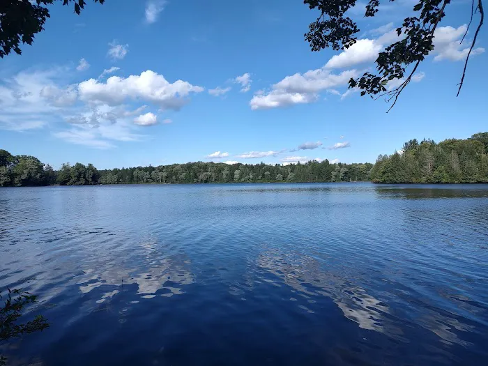 Pickerel Point Campground Picture 8