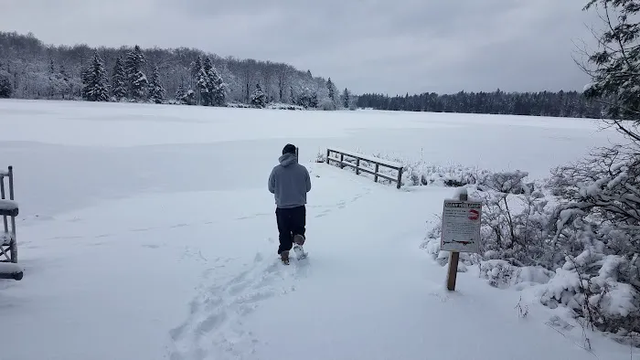 Pickerel Point Campground Picture 3