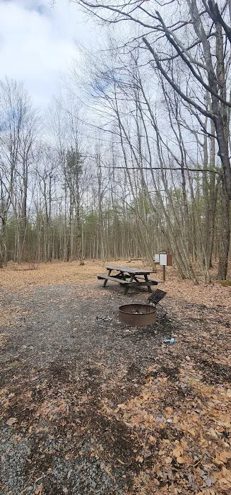 White Deer Campsite Picture 2