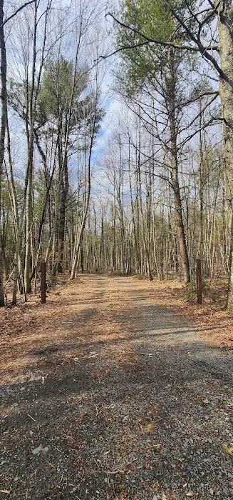 White Deer Campsite Picture 5