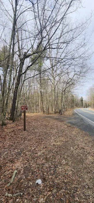 White Deer Campsite Picture 4