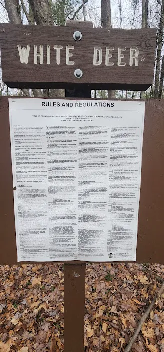 White Deer Campsite Picture 1