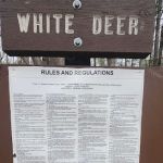 White Deer Campsite