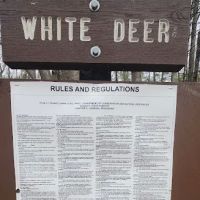 White Deer Campsite ico