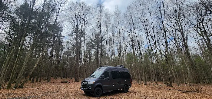 White Deer Campsite Picture 3