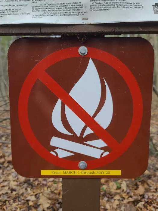 White Deer Campsite Picture 10