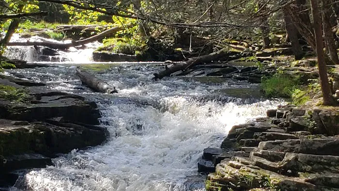 Promised Land State Park Cabins Picture 10