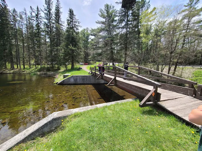Promised Land State Park Cabins Picture 1