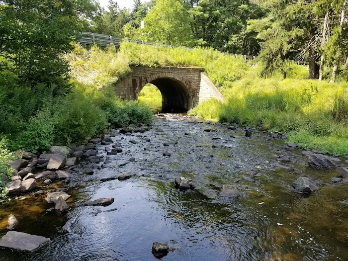 Promised Land State Park Cabins Picture 4