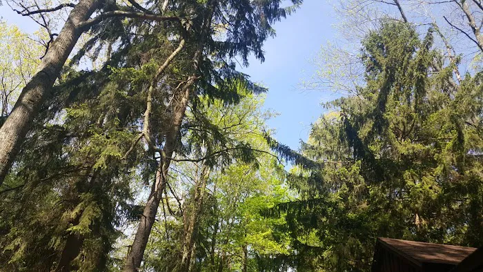 Promised Land State Park Cabins Picture 9