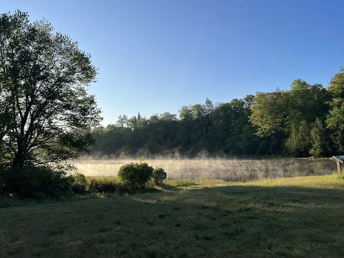 Lower Lake Campground Picture 1