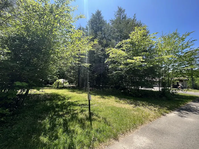 Lower Lake Campground Picture 2