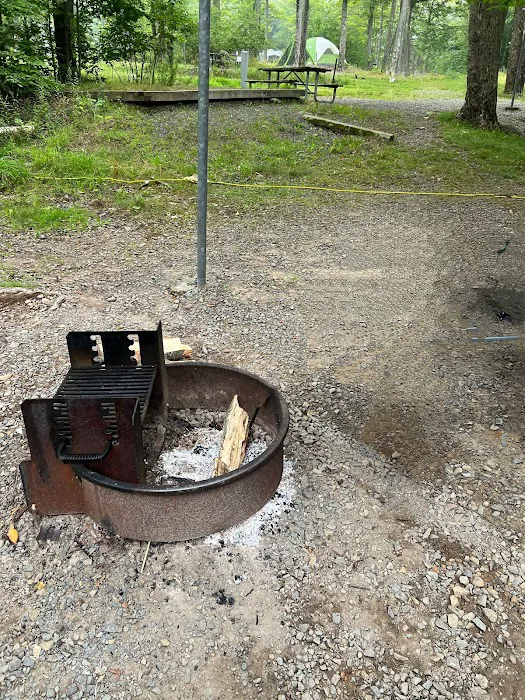 Lower Lake Campground Picture 7