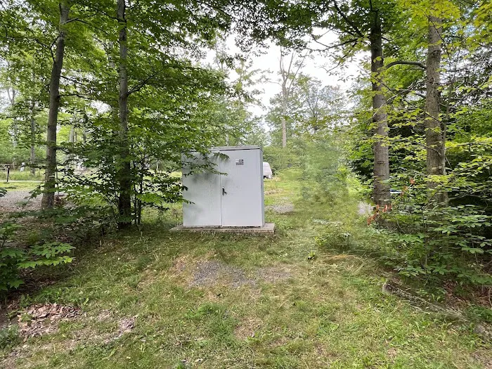 Lower Lake Campground Picture 10