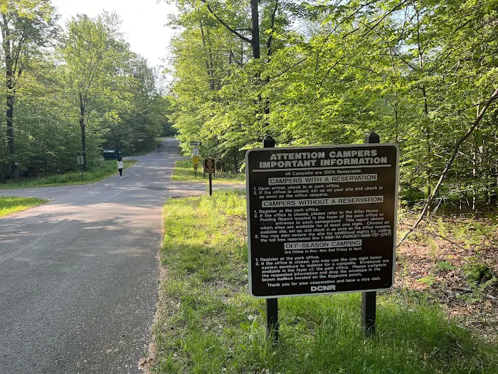 Lower Lake Campground Picture 3