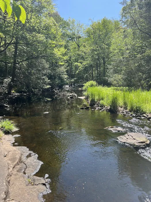 Lower Lake Campground Picture 5