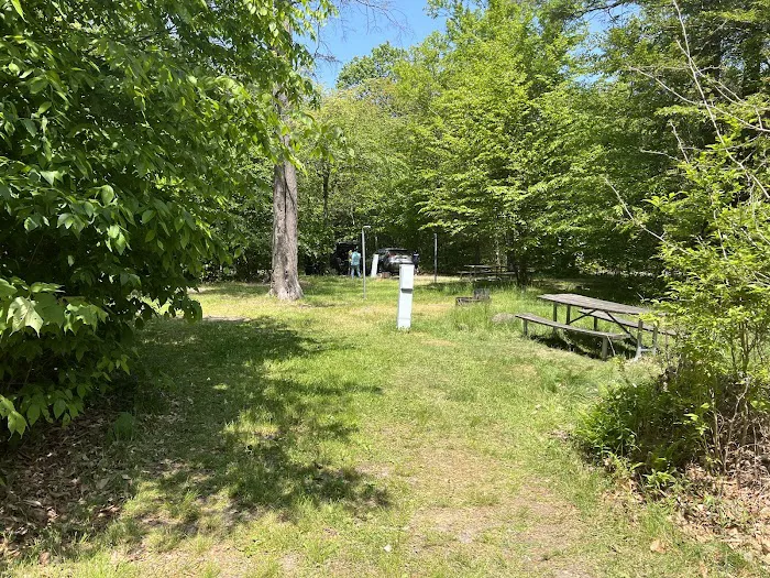 Lower Lake Campground Picture 4