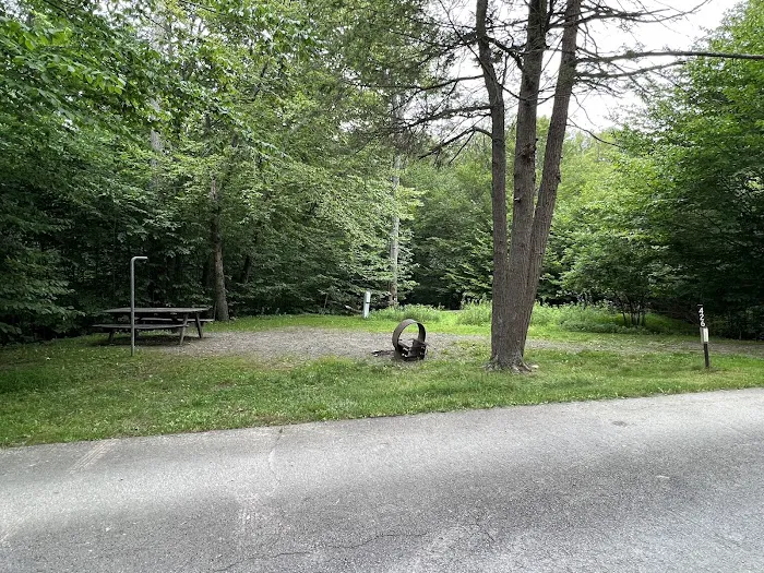 Lower Lake Campground Picture 8