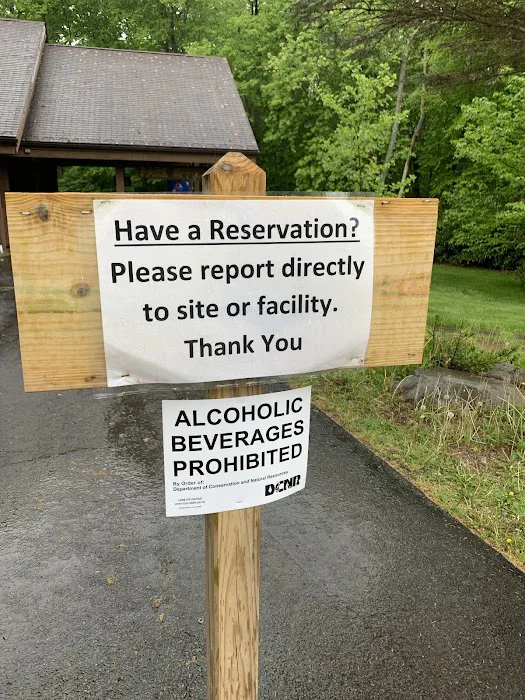 Rhododendron Campground Picture 10