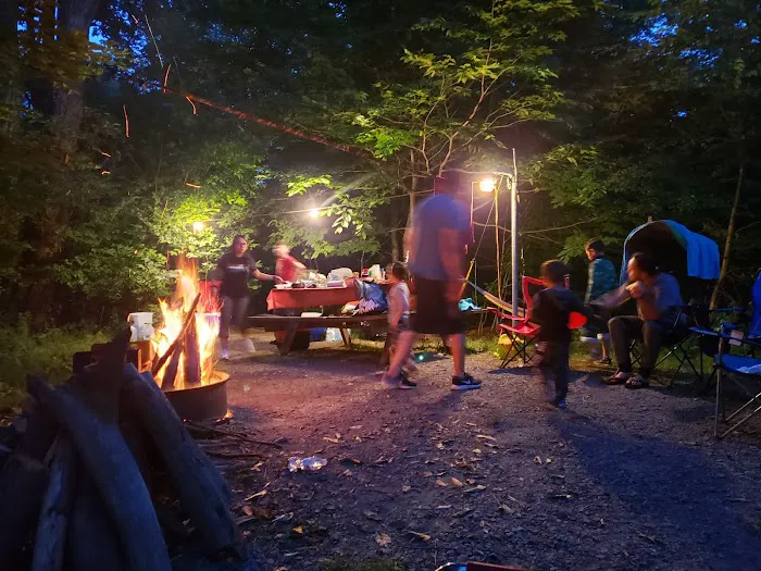 Rhododendron Campground Picture 8