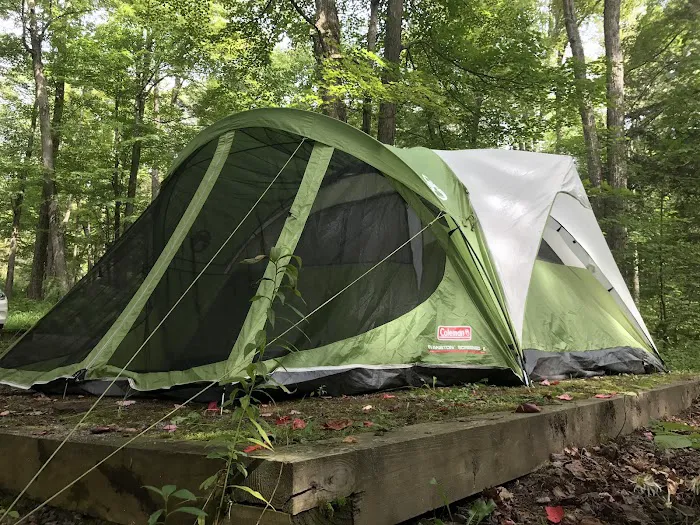 Rhododendron Campground Picture 7