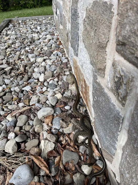 Rhododendron Campground Picture 6