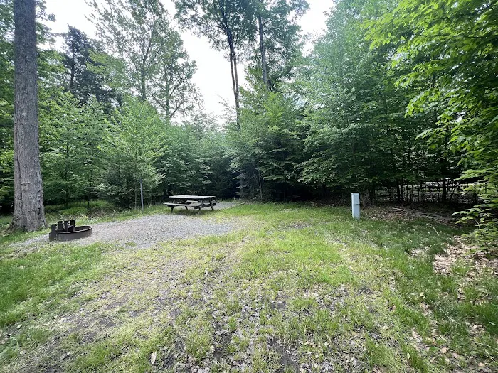 Rhododendron Campground Picture 4