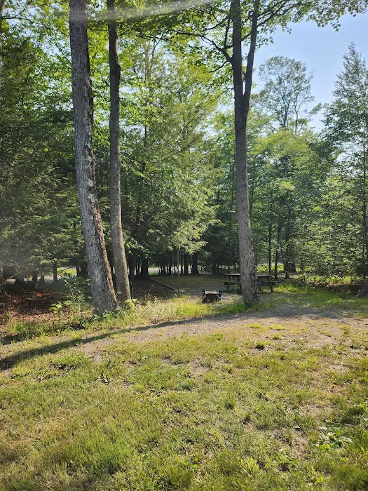 Northwoods Campground Picture 6