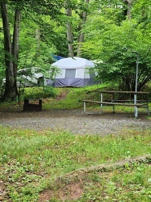 Northwoods Campground Picture 4