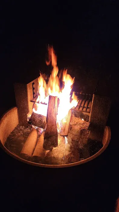 Promised Land State Park Beechwood Camping Area Picture 2