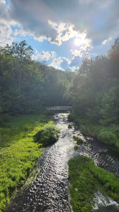 Promised Land State Park Beechwood Camping Area Picture 4