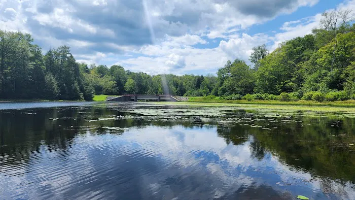 Promised Land State Park Beechwood Camping Area Picture 3