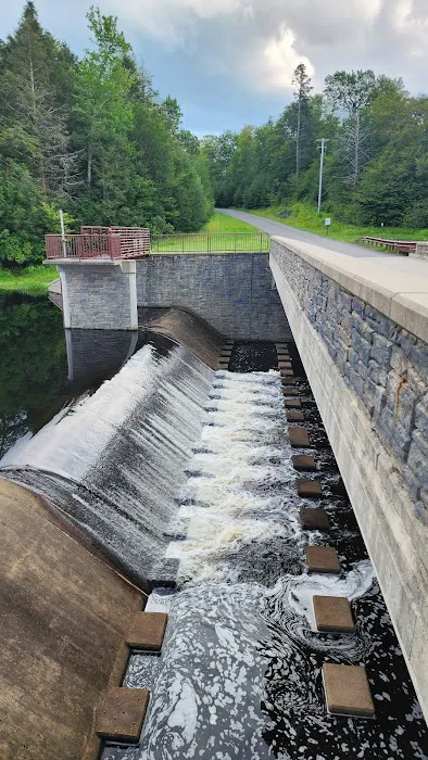 Promised Land State Park Beechwood Camping Area Picture 9