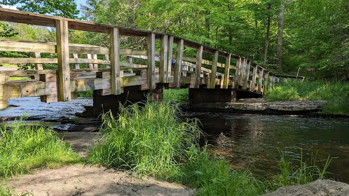 Promised Land State Park Beechwood Camping Area Picture 8