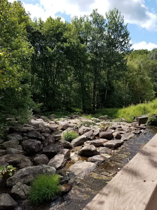 Camp Trexler Picture 7