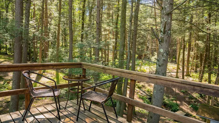 Cabins 4 Rent Picture 2