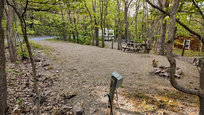 Peaceful Woodlands Family Campground Picture 5